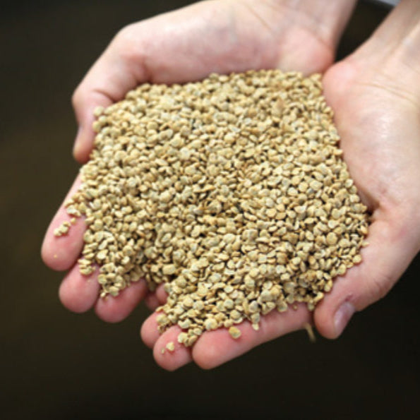 Poudre de figue de barbarie