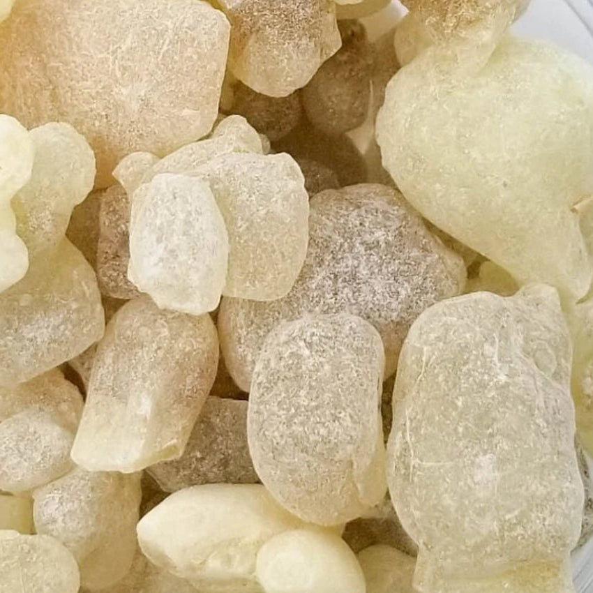 Huile d'encens de L'oliban - 30 ml