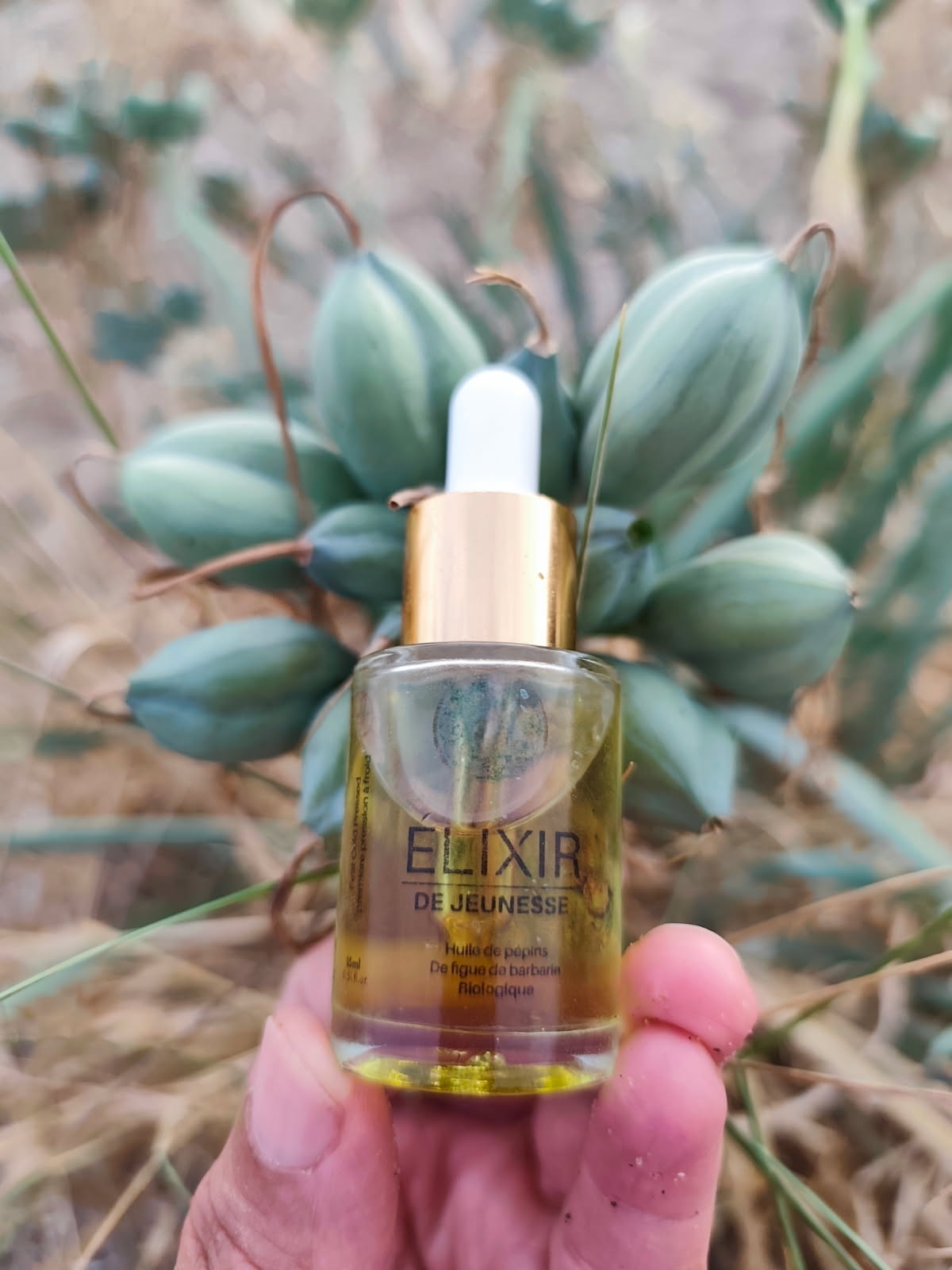 Huile de pépins de figue de barbarie bio  15 ml